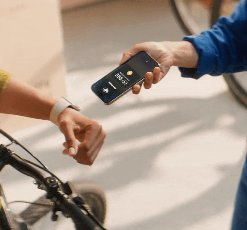 5 - RG x Stripe - DR